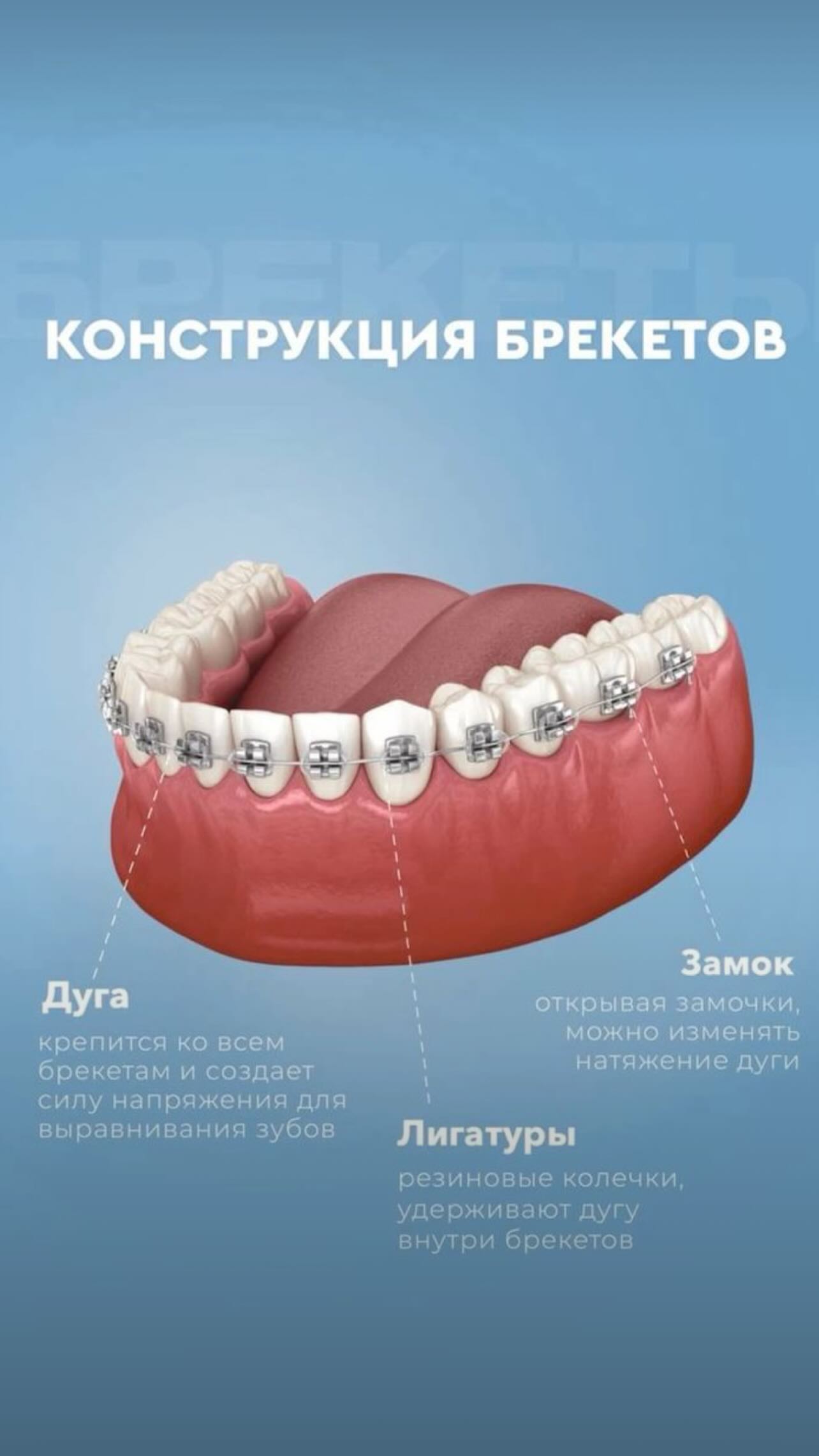 Ортодонтия